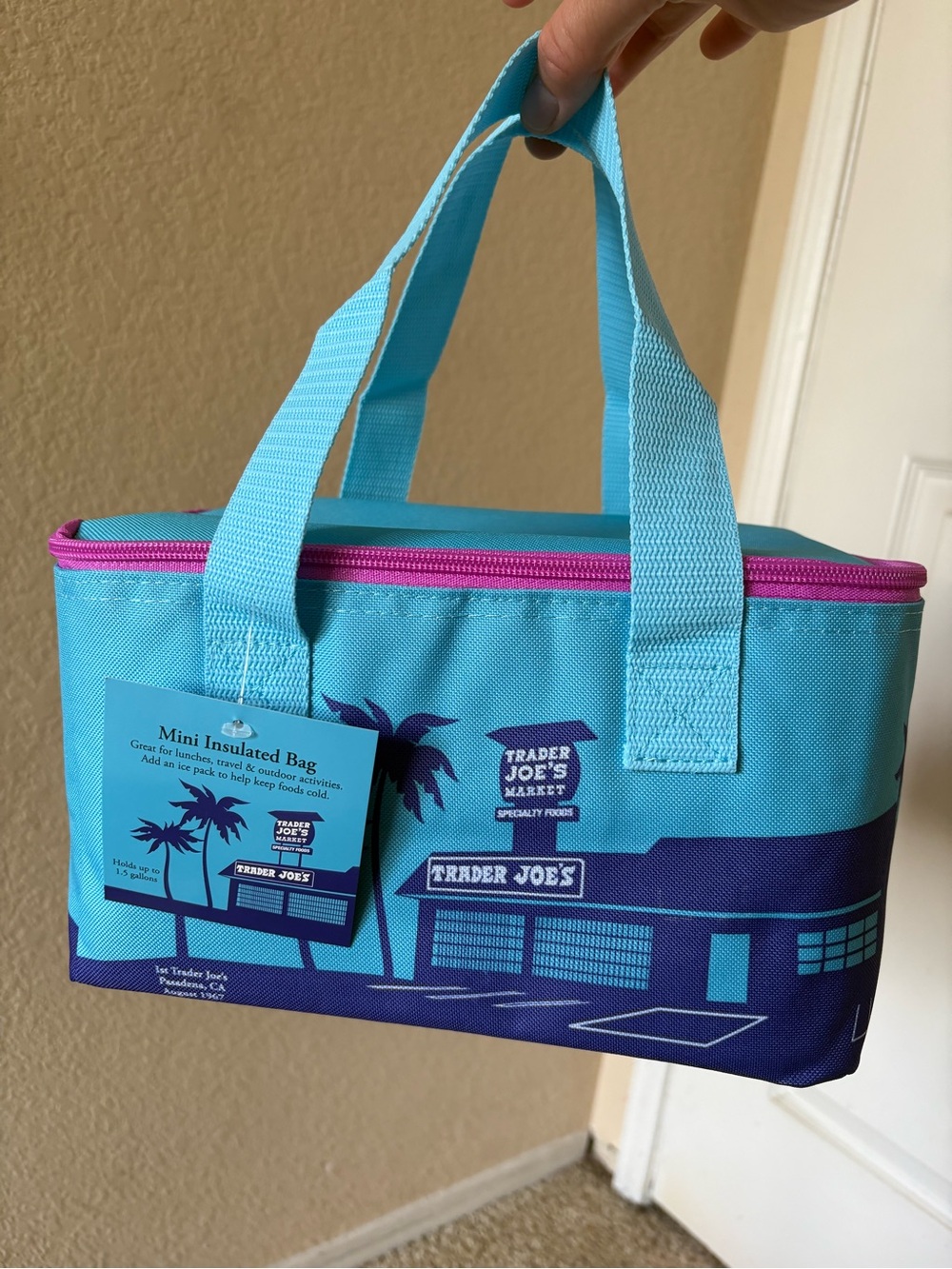 Trader Joe's Turquoise/Blue Mini Insulated Bag
